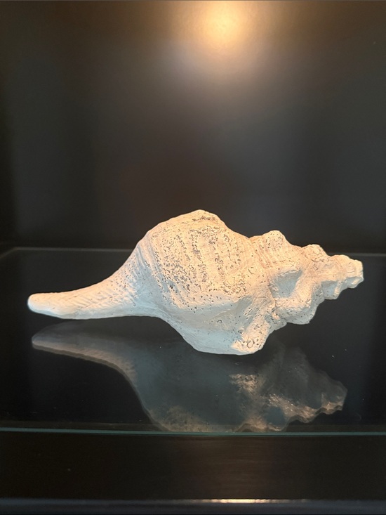 Other - Conch Shell Resin
